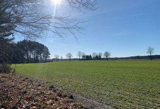 Weitblick in die Ferne......