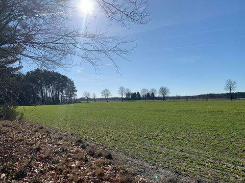 Winsen (Aller) Grundstücke, Winsen (Aller) Grundstück kaufen