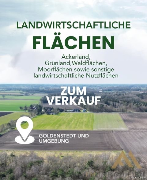 Goldenstedt Bauernhöfe, Landwirtschaft, Goldenstedt Forstwirtschaft