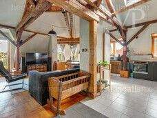 33786115_226795347_m