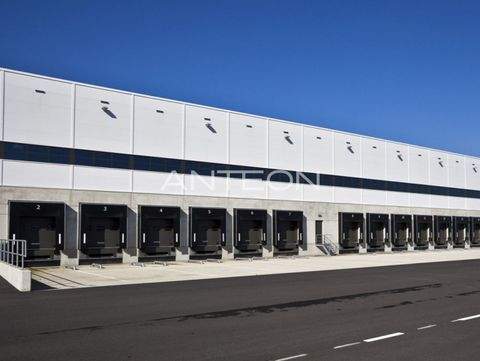 Rheinberg Halle, Rheinberg Hallenfläche