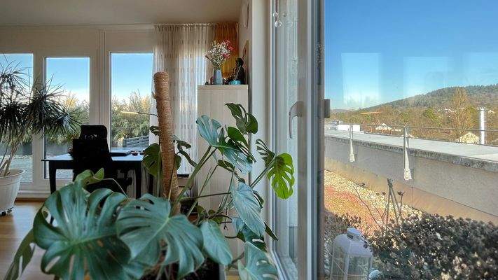 Lichtdurchfluteter Wohnbereich mit Fensterfronten und Ausblick ins Grüne