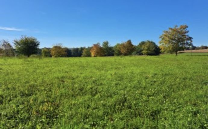 Baugrundstück / Bauplatz Aichach Motzenhofen (Hollenbach) von Privat zu verkaufen