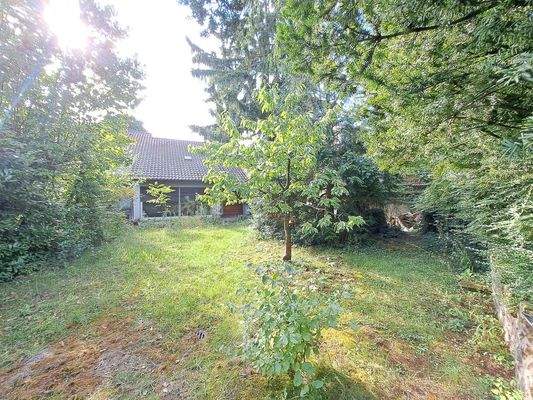 Oase mit Platz zum Toben #2