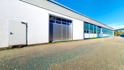 Klagenfurt am Wörthersee Halle, Klagenfurt am Wörthersee Hallenfläche