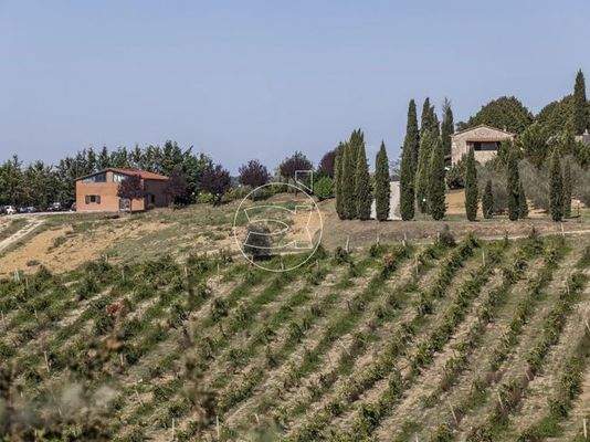 Imposantes Anwesen | Monteriggioni