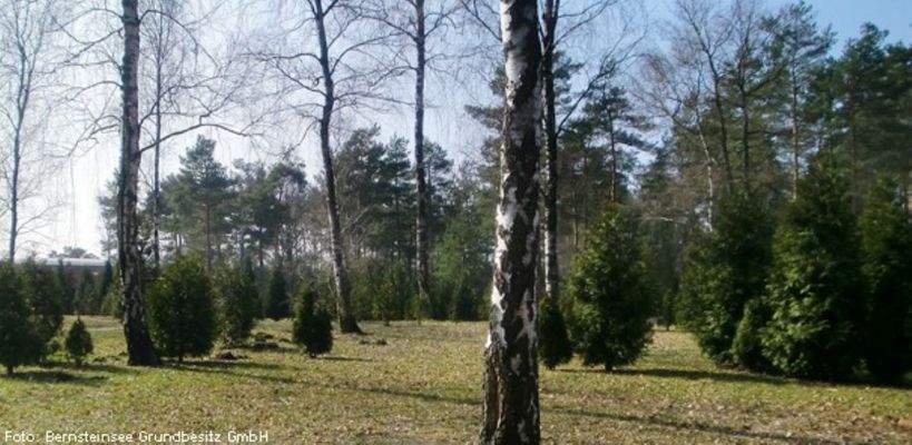 Grundstück Beispiel