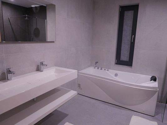 Ferienhaus Winterberg kaufen006