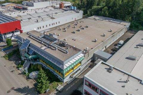 Schramberg Halle, Schramberg Hallenfläche