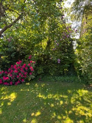 Schönes Baugrundstück in gefragter Lage