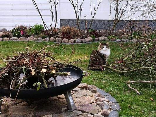 Feuerstelle Ansicht 2