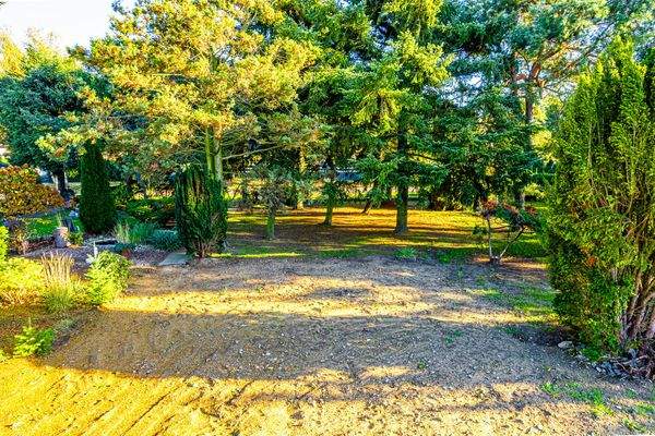 Platz für Ihr Traumhaus!