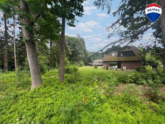 großzügiges Grundstück