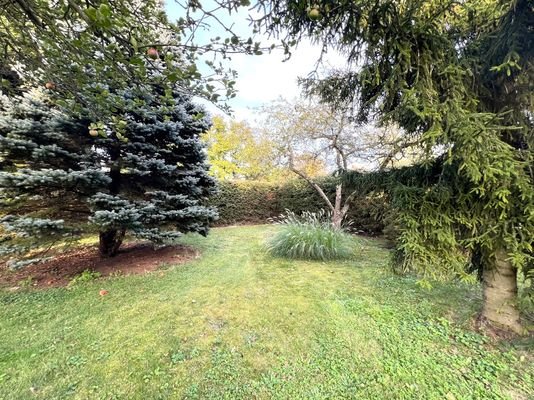 Blick in den Vorgarten