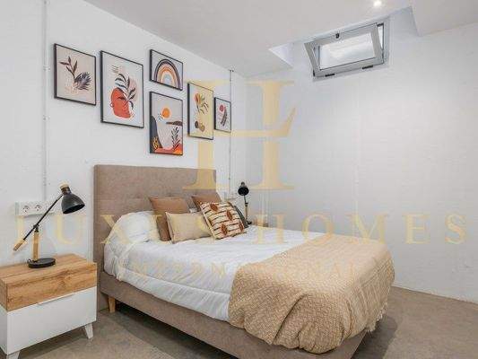 BAJA RESOLUCION (27)