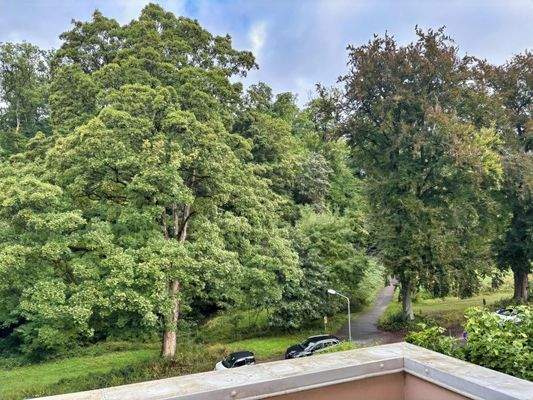 Blick ins Dambachtal