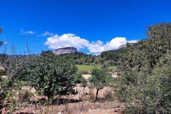 Grundstück mit Bauprojekt