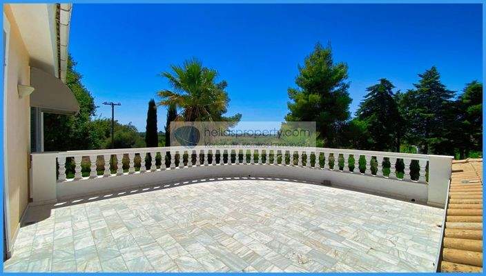 a2ea41c797814656a9aa428a726396c0-original