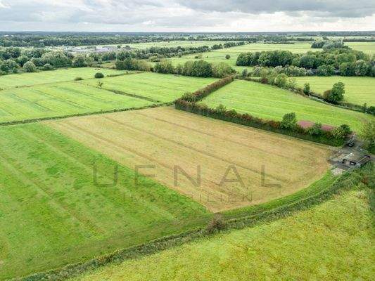 weitere Weidefläche