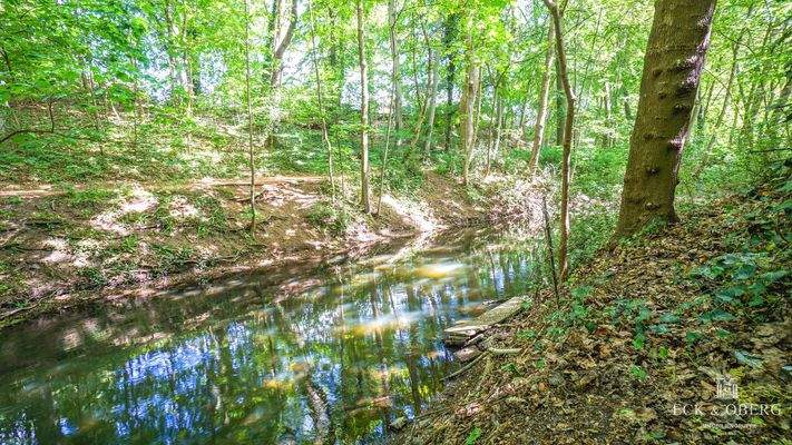 direkter Zugang zur Eider