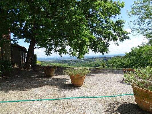 PHOTO-2024-03-26-18-38-39 2.jpg