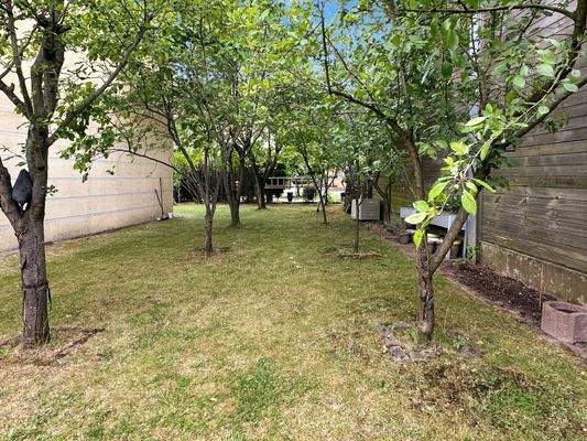 Garten mit Obstbäumen