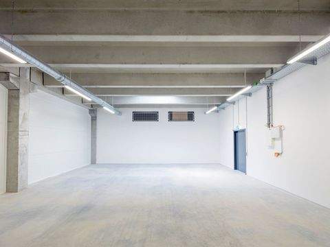 Ludwigsburg Halle, Ludwigsburg Hallenfläche