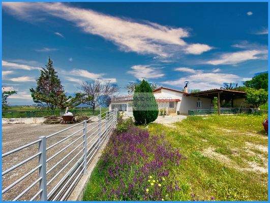 83ba5f5f8963467b815c5e3b144b255d-original