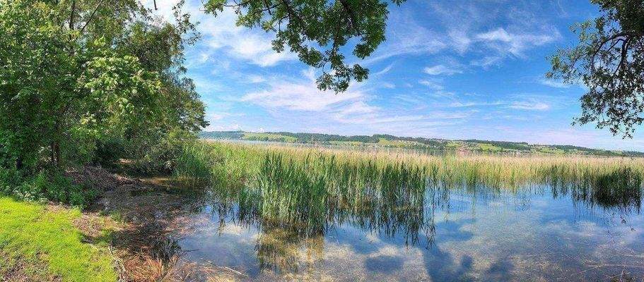 Grundstück am Obertrumer See