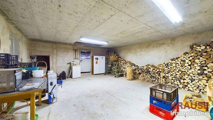 Kellerraum unter Garage mit Grube