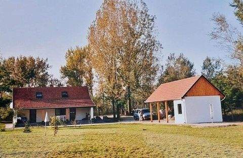 Soltvadkert Häuser, Soltvadkert Haus kaufen