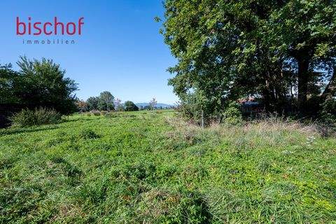 Hohenems Grundstücke, Hohenems Grundstück kaufen