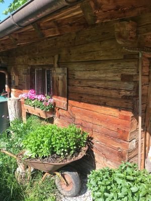 Gartenhaus