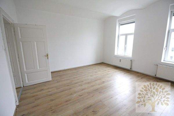 Großer Wohnraum mit 25m²