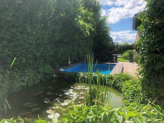 Gartenteich_und_Pool