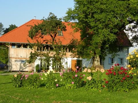 Bodnegg Häuser, Bodnegg Haus kaufen