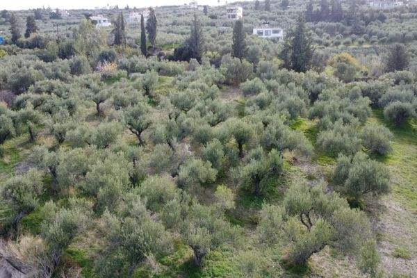 Kreta, Kalyves: Grundstück in Strandnähe mit herrlichem Meerblick zu verkaufen