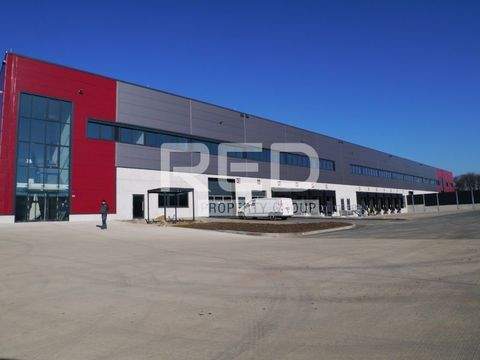 Langenfeld Halle, Langenfeld Hallenfläche