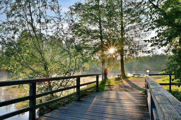 Frühlingserwachen am Waldsee