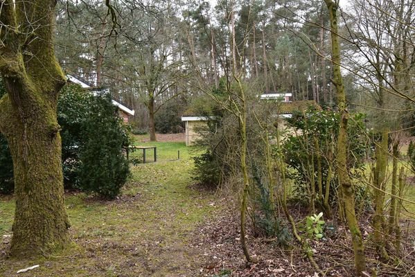 ferienhaus-veluwe-zum-verkauf-kootwijk-berkenhorst-023