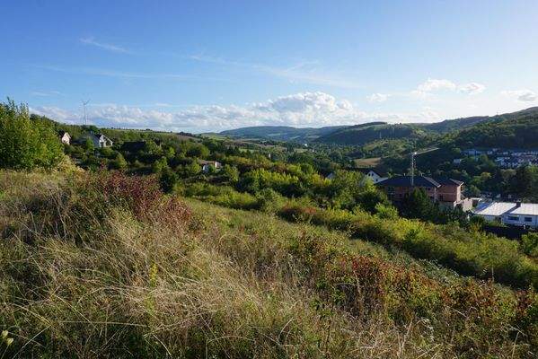 Hier beginnt Ihr Wohntraum