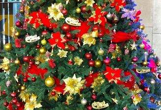 Frohe Weihnachten - hier wartet Ihr neues Haus