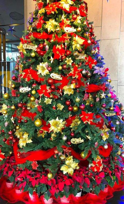 Rellingen Häuser, Rellingen Haus kaufen