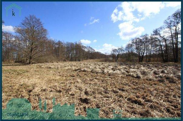 1996 Schilfgrasfläche.jpg