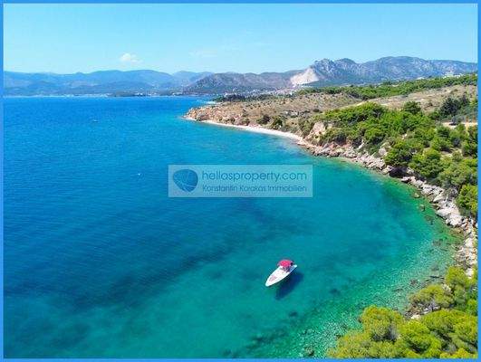 0773ed3e395d42e0af6c072355a1b1e2-original