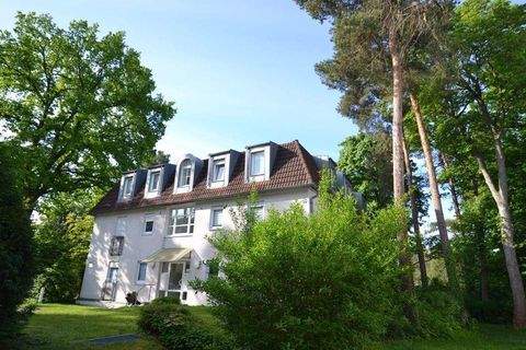 Dresden Wohnungen, Dresden Wohnung kaufen