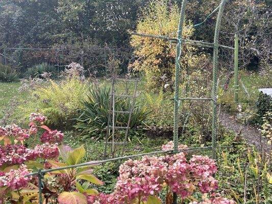 Garten hinter dem Haus