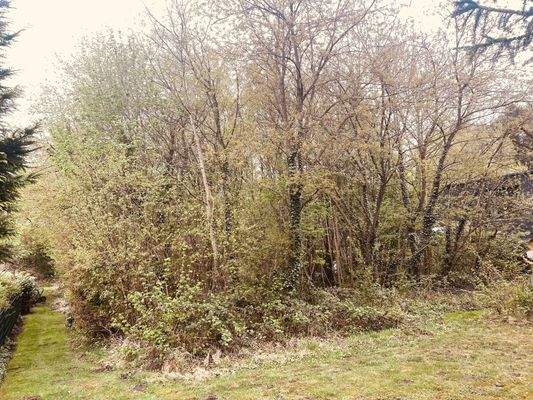 Grundstück Quickborn - Schwartmoorallee (5).jpg