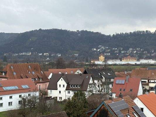Blick Richtung Spitzberg