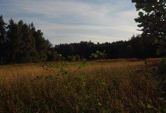 Bild 1,2 u.3 ostwertige Ansicht der Fläche